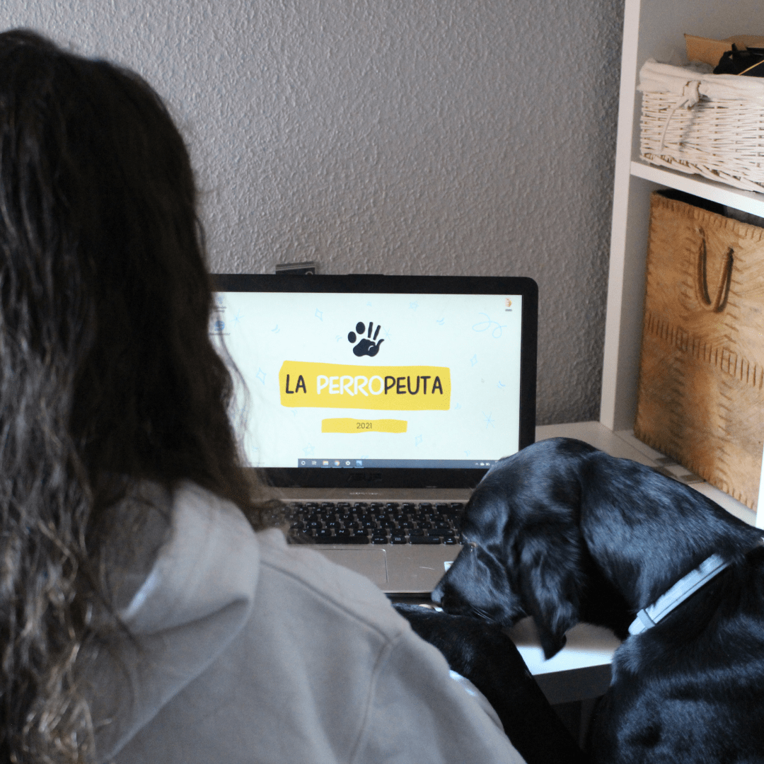 educación canina online