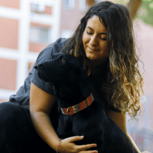terapia presencial canina