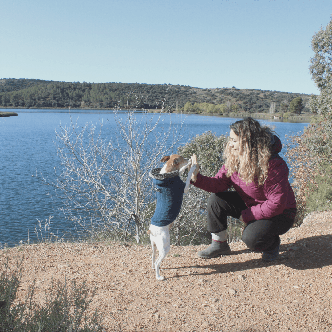 educación canina y adiestramiento canino