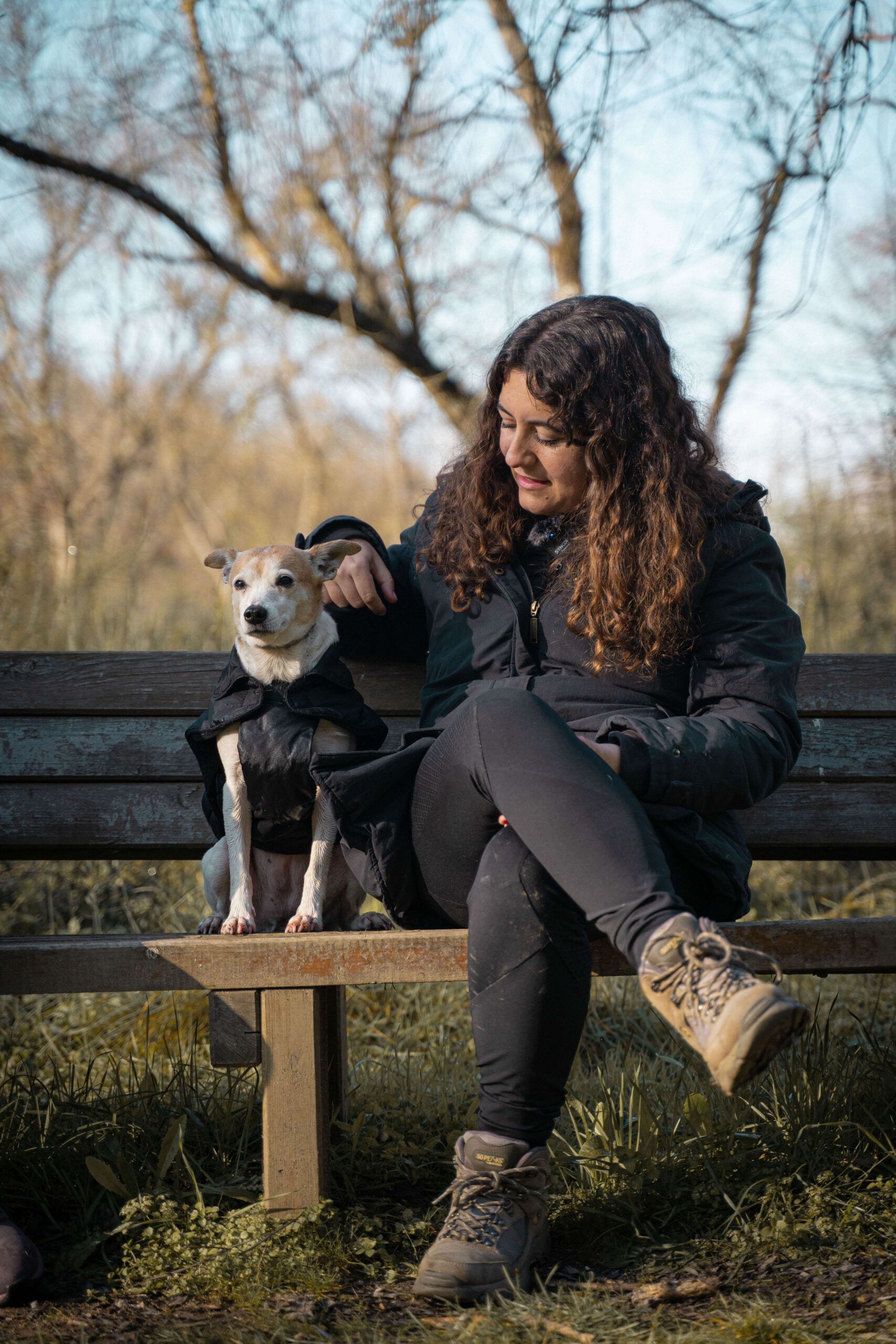 educación y adiestramiento canino en Madrid