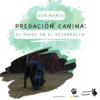 SEMINARIO PREDACION
